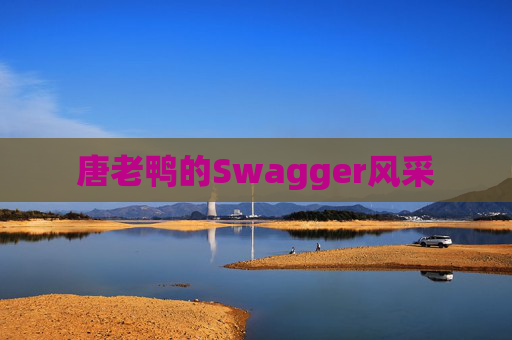 唐老鸭的Swagger风采